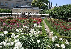 Der Rosengarten der Neuen Residenz bezaubert vor allem im Sommer und bietet wundervolle Ausblicke über die Stadt und zu St. Michael