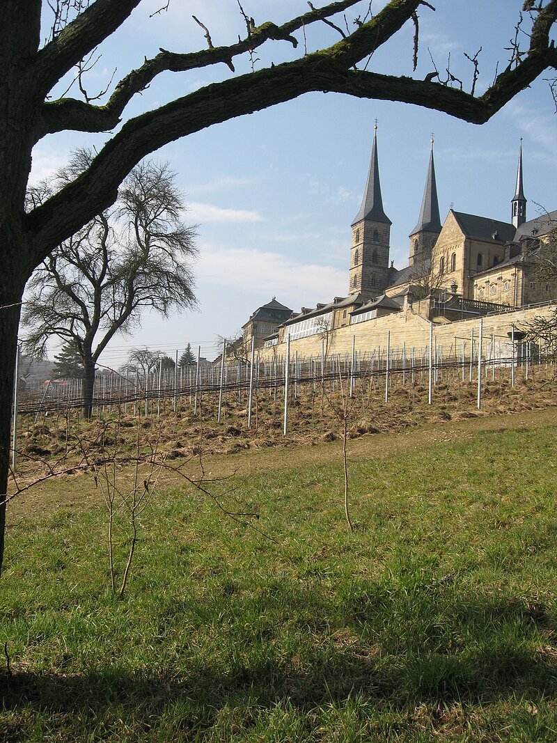 Klostergarten mit Weinberg von St. Michael