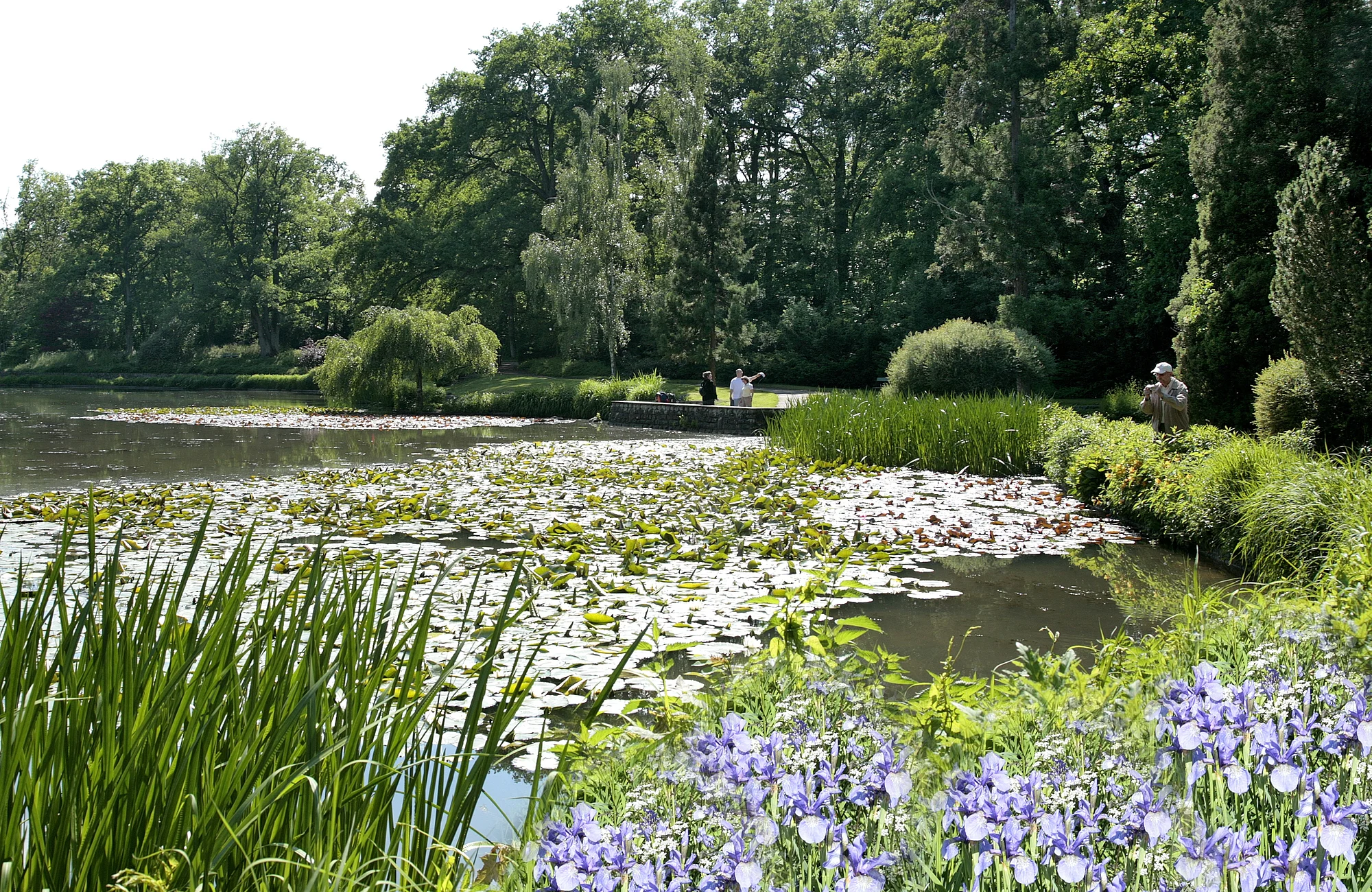 Der Stadtpark mit Theresien- und Luisenhain sowie botanischen Garten verfügt über viele Spazierwege. Vom ehemaligen Mühlenviertel aus oder am Alten Kanal entlang der Regnitz gelangt man in wenigen Minuten auf romantischen Pfaden in dieses Naherholungsgebiet.