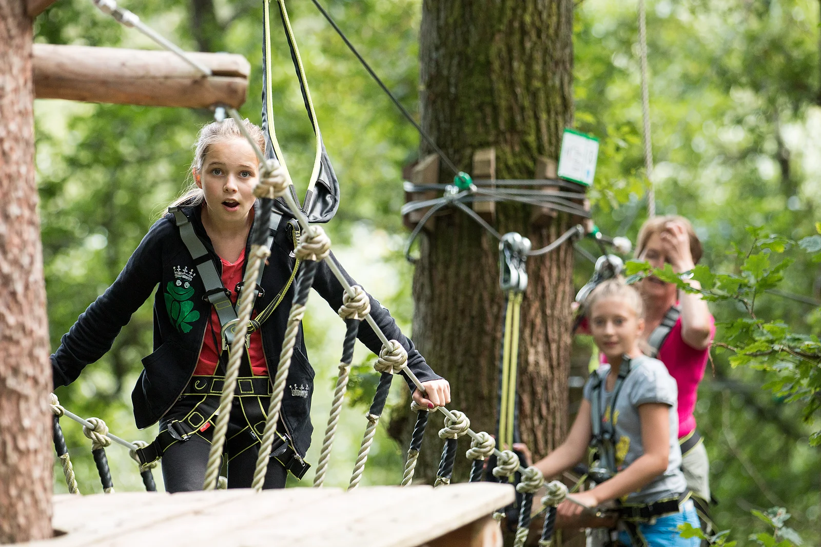 TDG - Waldseilpark Rummelsberg, Schwarzenbruck, Familie und Rolli, 01.08..2016; [© Thomas Geiger / TANDEM, P e g n i t z s t r. 30, D-91217 H e r s b r u c k , Tel.: +49-9151-824959 +  +49-171-3259880 - V e r o e f f e n t li c h u n g   n u r   mi t   H o n o r a r   n a c h   M F M ,   B e l e g   u n d   N a m e n s n e n n u n g !   C o p y r i g h t  n u r   f u e r   J o u r n a l i s t i s c h e  Z w e c k e, K e i n e  P e r s o e n l i c h k e i t s r e c h t e  v o r h a n d e n !  F r e i g a b e   f u e r   J o u r n a l i s t i s c h e  V e r o e f f e n t l . e r t e i l t !  B a n k v e r b i n d u n g : P o s t b a n k M u e n c h e n - I B A N: DE60700100800218530800 - BIC PBNKDEFF]