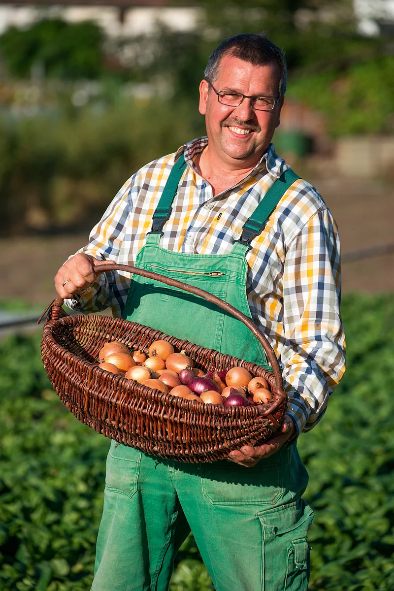 Gärtner Michael Niedermaier mit einem Korb Zwiebeln von der Gärtnerei Sebastian Niedermaier