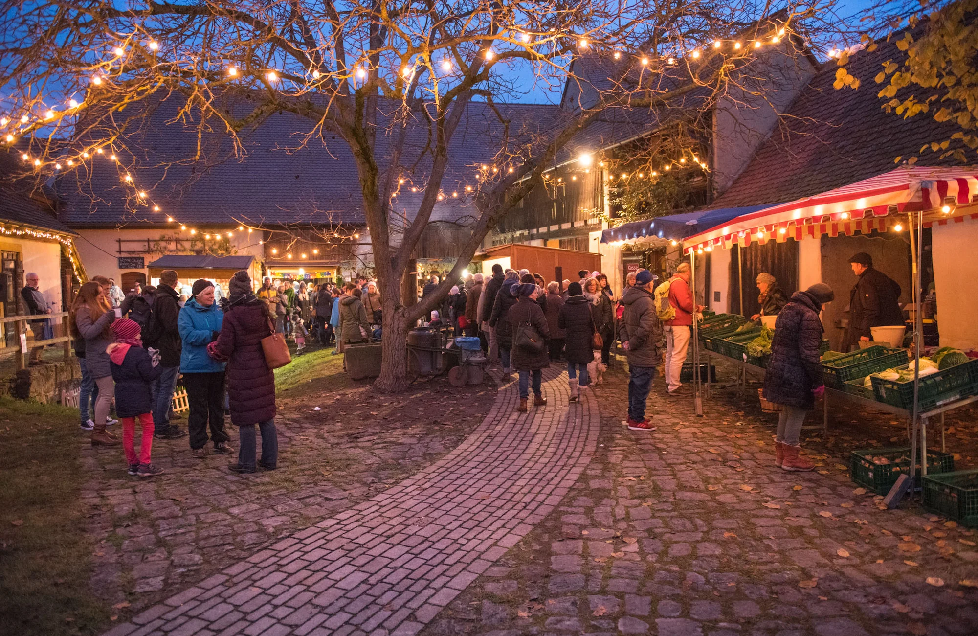 Martinimarkt Frensdorf 2019 1.Martinimarkt Frensdorf 2019 11 16