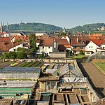 Blick über die Gärtnerstadt