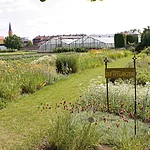 Der Schaukräutergarten von MUSSÄROL Bamberger Kräutergärtnerei befindet sich mitten in der historischen Bamberger Gärtnerstadt, die Teil des Weltkulturerbes Bamberg ist.