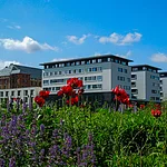 Der neue Standort der Universität Bamberg - Gebäude auf der ERBA-Insel