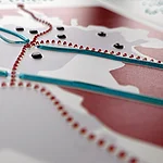 Stadtführung in Bamberg mit unterstützung taktiler Bücher für Sehbehinderte und Blinde