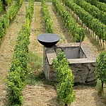 Am Kloster Michelsberg in Bamberg trifft Kunst auf Geschichte: Der japanische Künstler Kazuo Katase, der seit vielen Jahren in Deutschland lebt, schuf hier das beeindruckende Kunstwerk „Wandelung“, das die Veränderungen dieses besonderen Ortes thematisiert