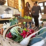 Häcker und Gärtner prägten über Jahrhunderte das Stadtbild Bambergs entscheidend mit. Die Gärtnerstadt ist heute noch ein wichtiger Teil des Weltkulturerbes und ist auch nach wie vor lebendig. Genießen Sie, was die Bamberger Gärten so alles hergeben.