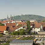 Blick über die Gärtnerstadt mit grünen Gärten und charmanten Dächern.