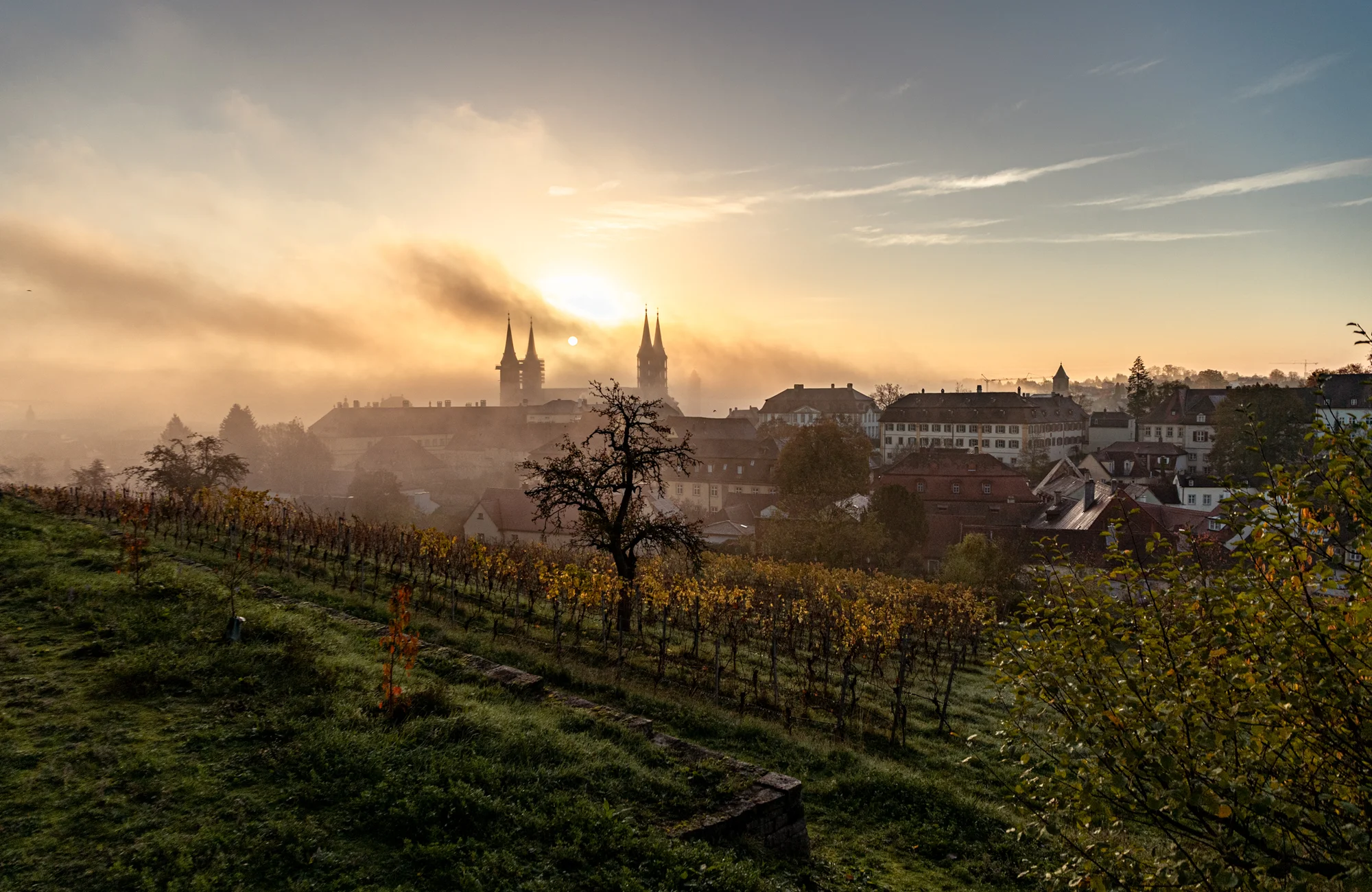 Weinberg am Michaelsberg Die Sonne geht über dem Bamberger Dom auf mit dem Weinberg am Michaelsberg im Vordergrund.