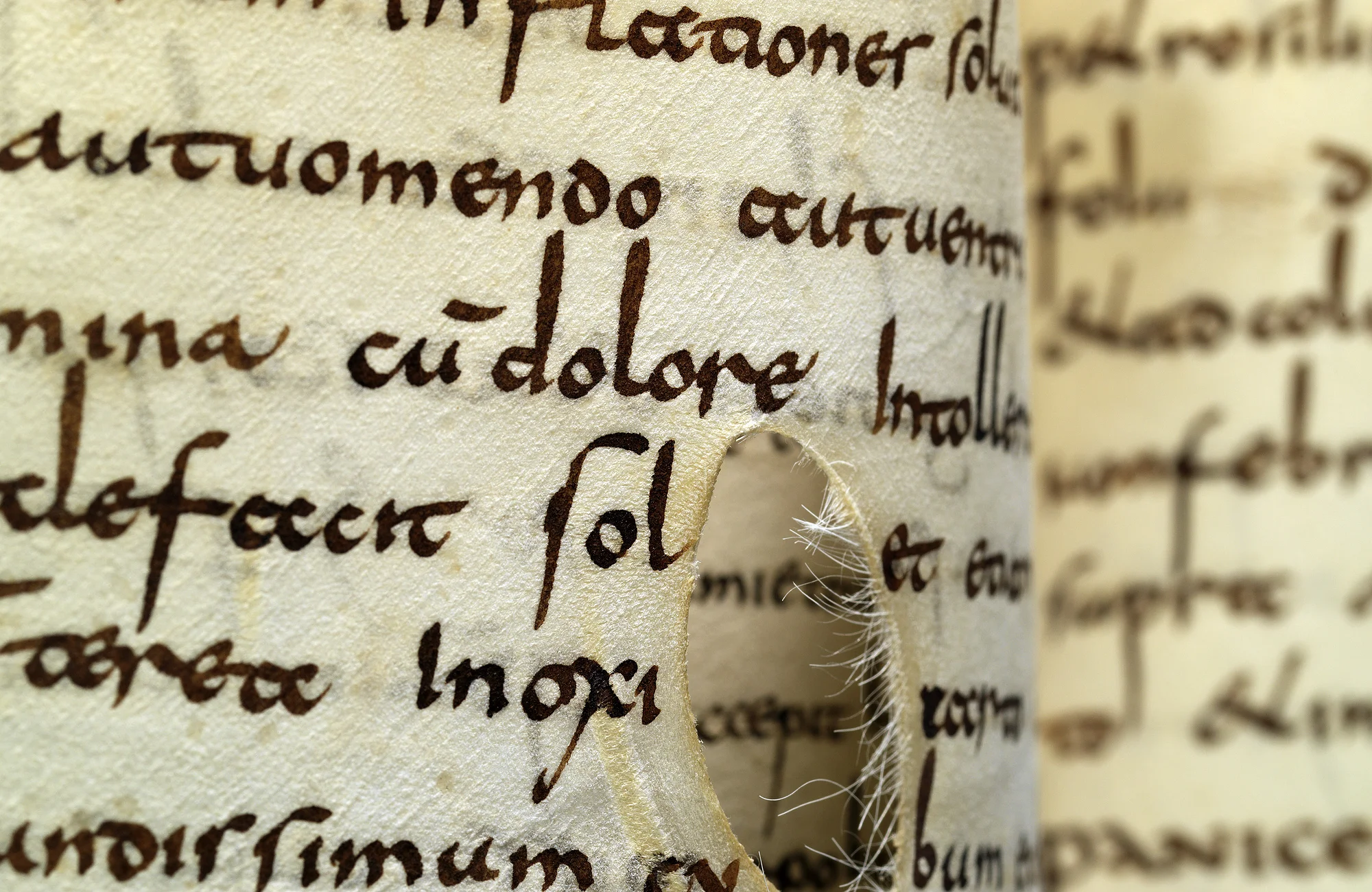 Lorscher Arzneibuch - Staatsbibliothek Bamberg Msc.Med.1, Lorsch, Anfang 9. Jh. Foto: Staatsbibliothek Bamberg / Gerald Raab