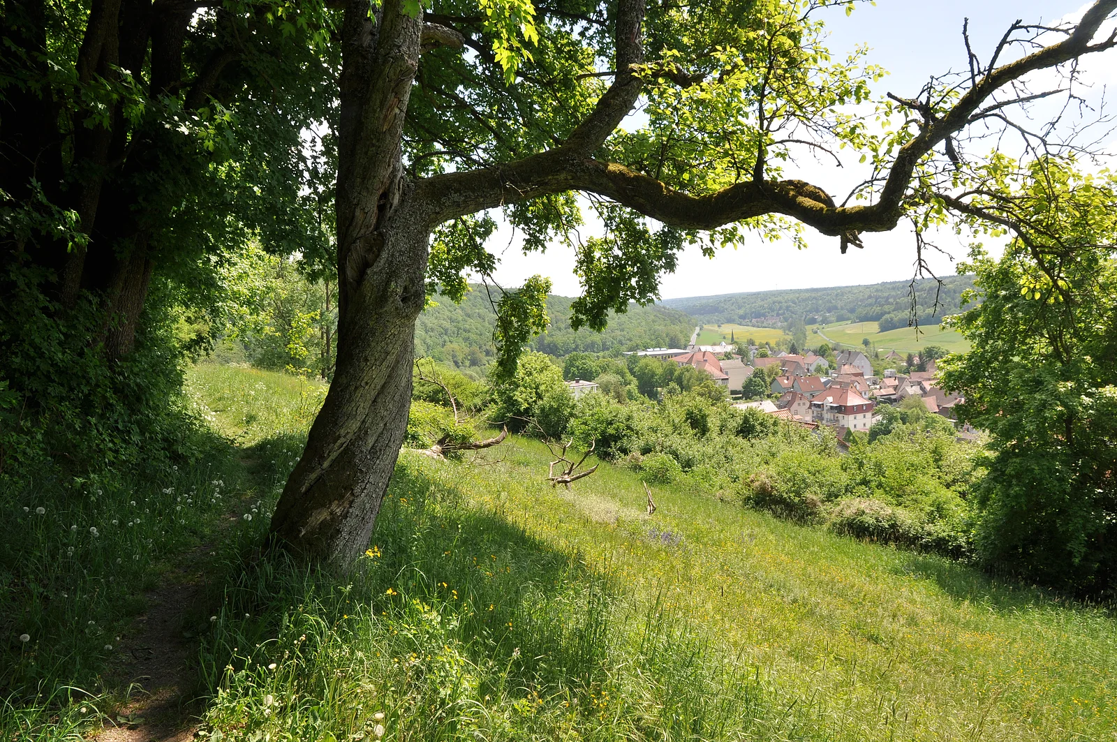 Blick vom Ebracher Panoramaweg ins mittlere Ebrach.