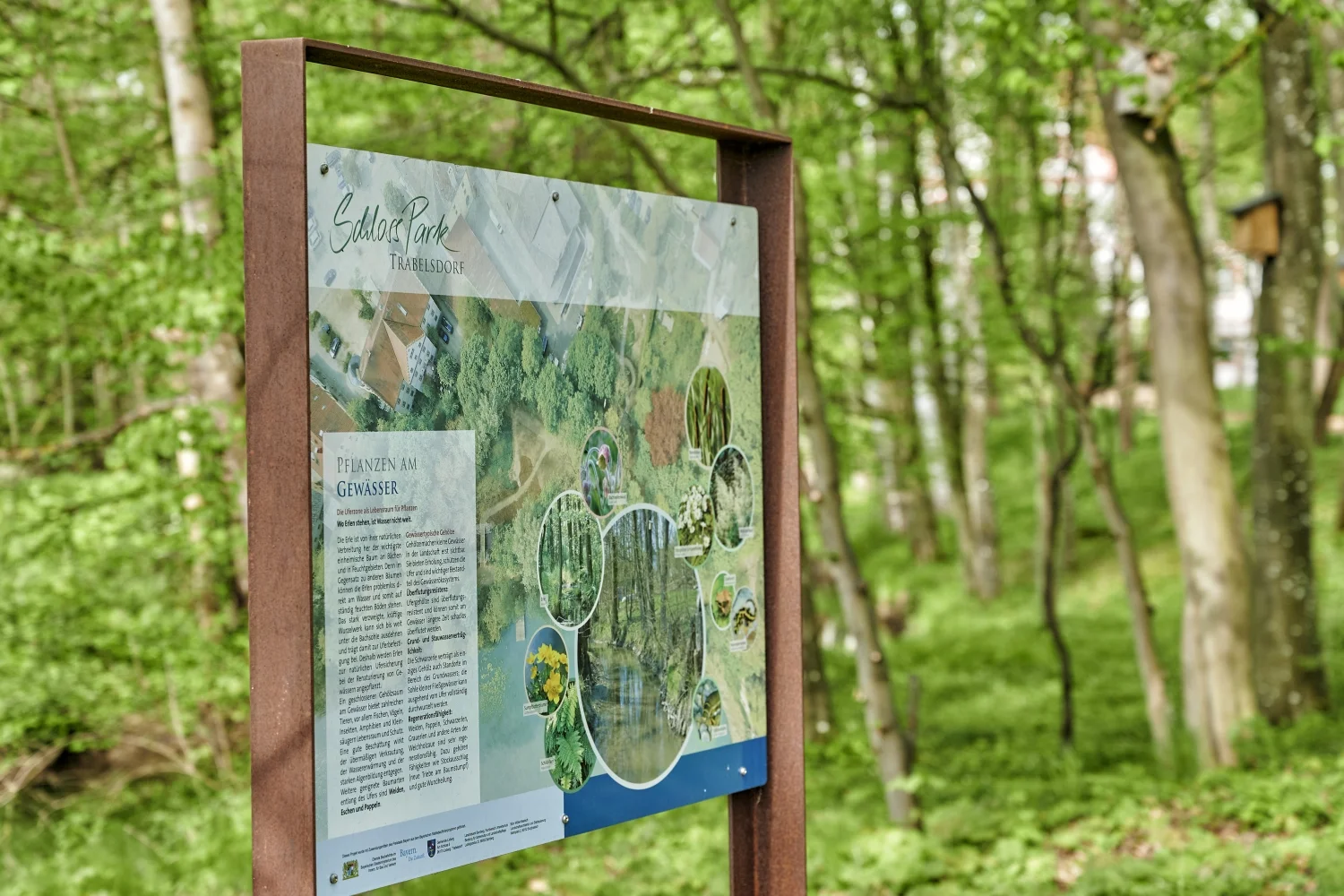 Schlosspark Trabelsdorf Foto einer Info-Tafel in der Natur im Schlosspark Trabelsdorf.