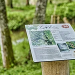 Foto einer Info-Tafel im Schlosspark Trabelsdorf.
