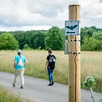 Foto eines Wanderzeichens in Fledermausform, das den Fledermausweg zwischen Viereth und Unterhaid markiert.