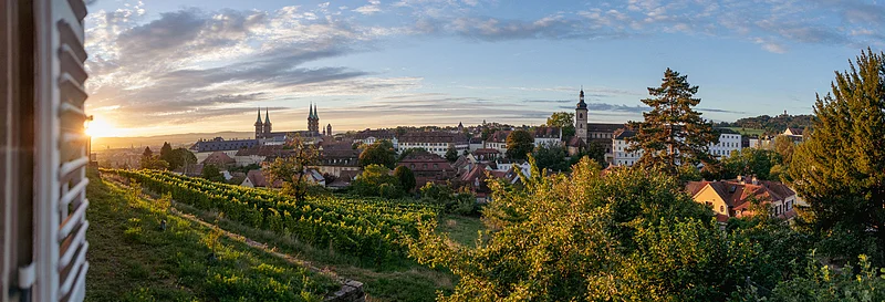 Das Foto zeigt den Weinberg der Klosteranlage St. Michael
