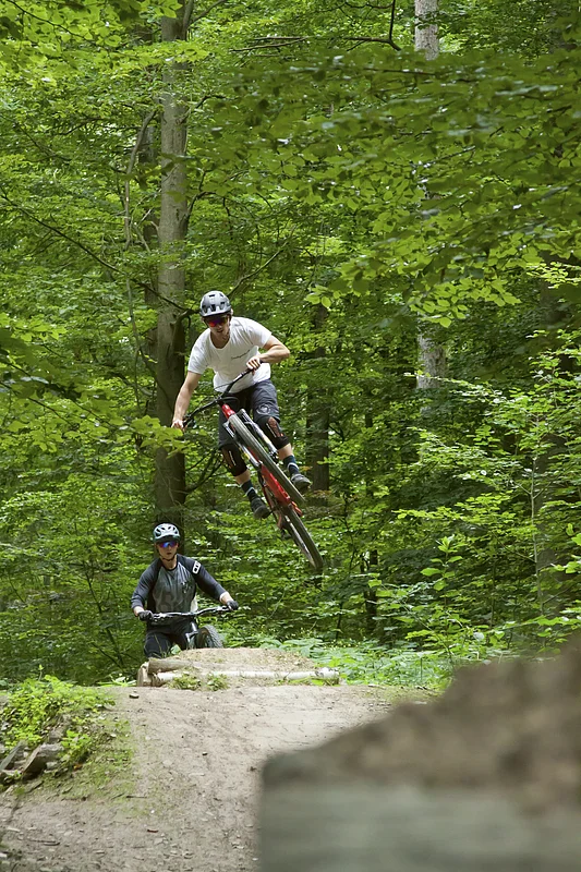 Die Mountainbike-Trails im Michaelsberger Wald Testfahrt auf der neuen Bamberger Jump-Line. Fahrer: Oliver Sonntag.