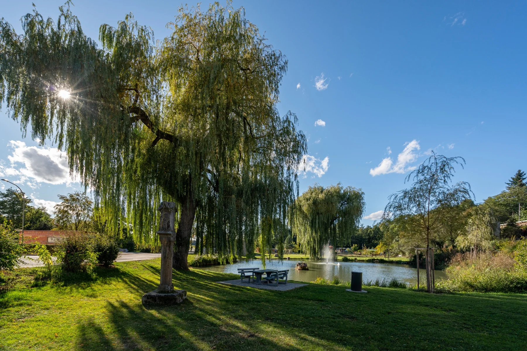 Weiher Dörfleins Hallstadt