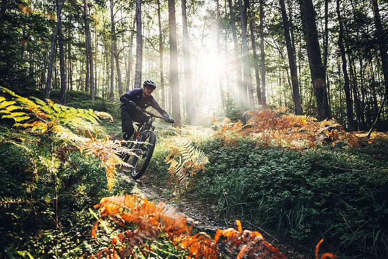 Tour durch den Wald in der Bikeregion Obermain.Jura