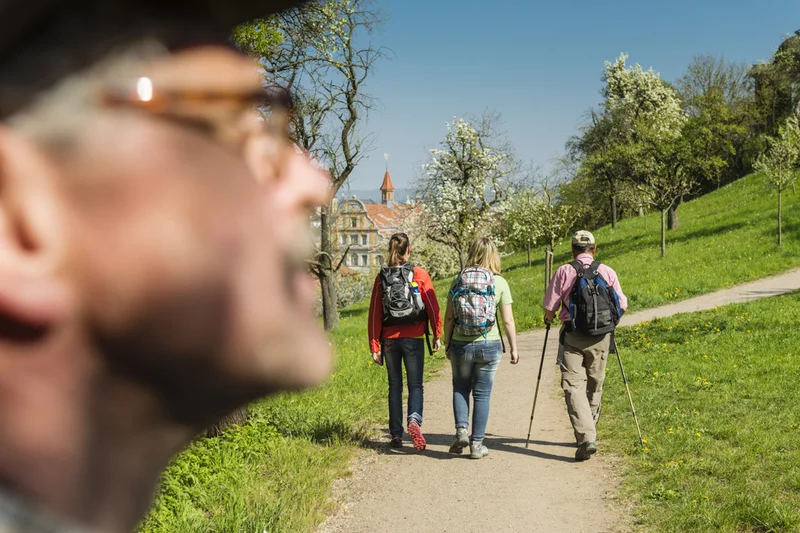 Wanderung auf den Michaelsberg.