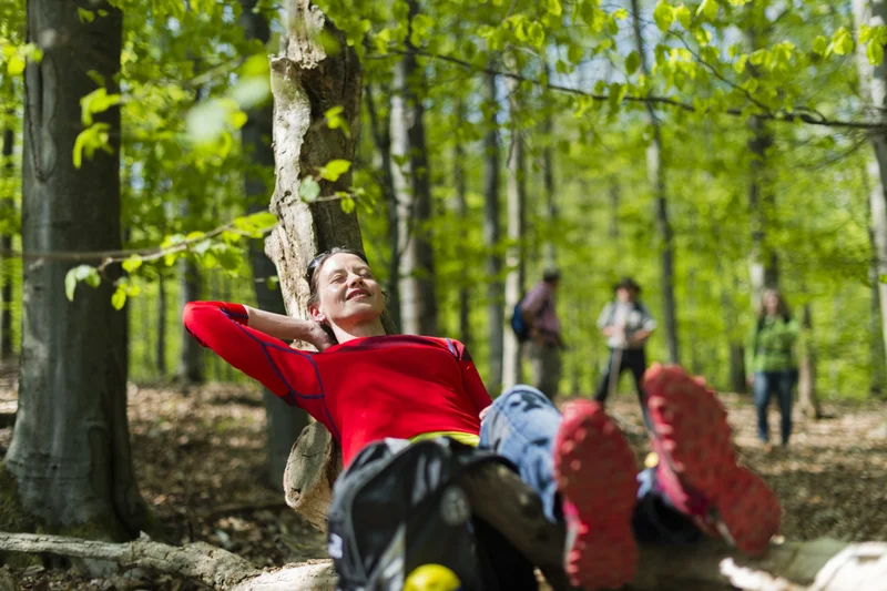 Wanderer machen Rast bei ihrer Wanderung im Michaelsberger Wald.