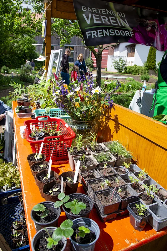 Fairtastisch Nachhaltigkeitsmarkt