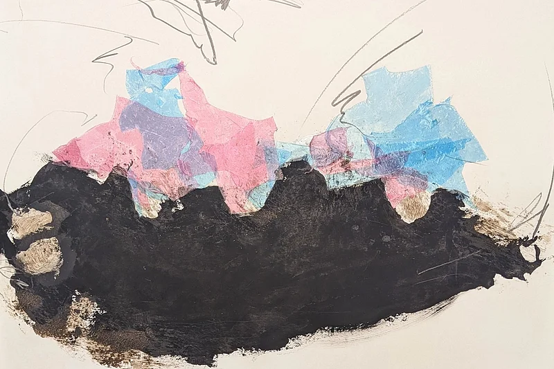 Hendrike Franz, PlasicFantastic
Kunstwerk in der Ausstellung Transparenz 2026