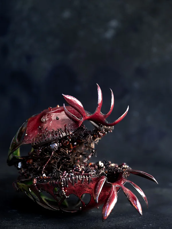 "Granatapfelkreatur"