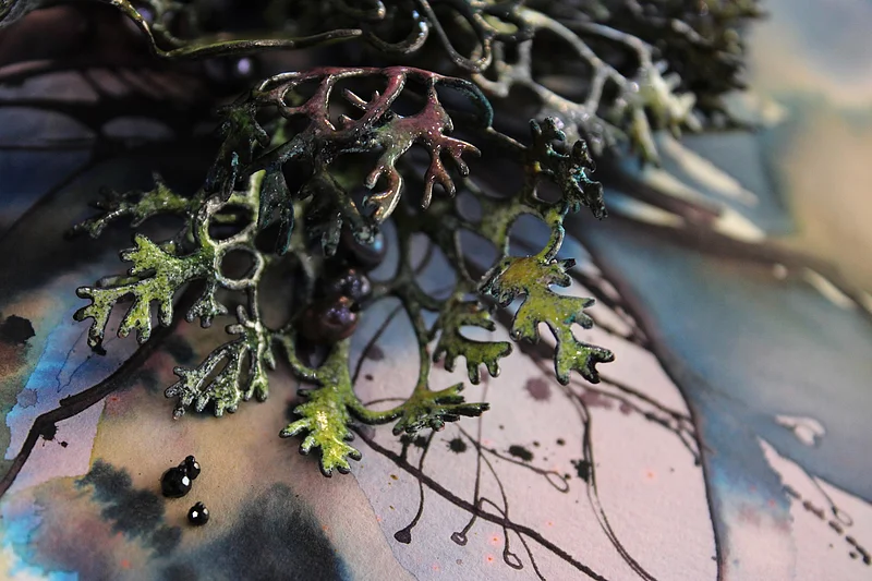 "Conscious Garden - Heckenraunen"