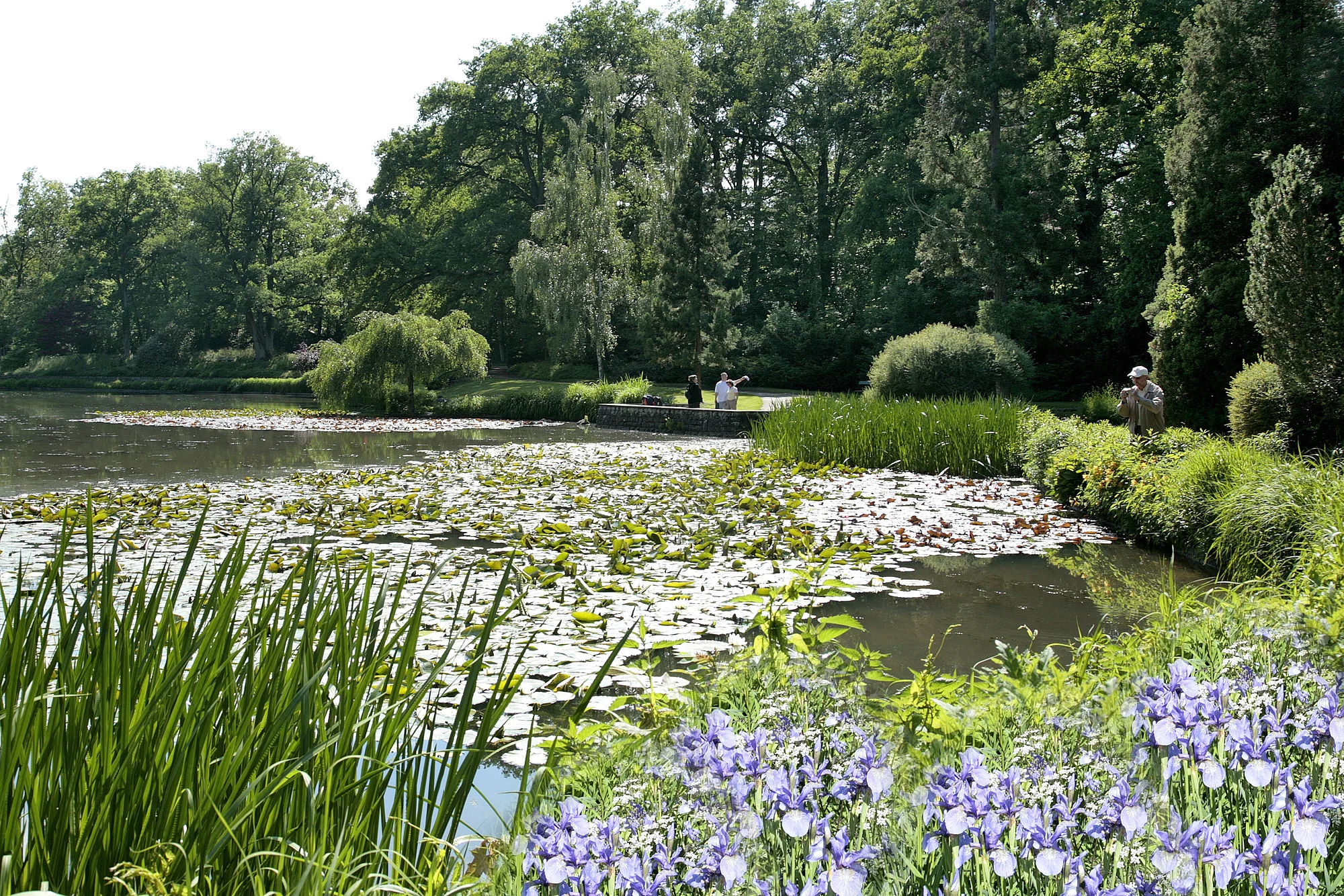 Stadtpark Hain Der Stadtpark mit Theresien- und Luisenhain sowie botanischen Garten verfügt über viele Spazierwege. Vom ehemaligen Mühlenviertel aus oder am Alten Kanal entlang der Regnitz gelangt man in wenigen Minuten auf romantischen Pfaden in dieses Naherholungsgebiet.