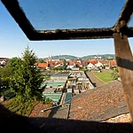 Blick aus einem Dachfenster über die innerstädtischen Gärtnerflächen Bambergs auf die Bergstadt-Silhouette
