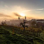 Die Sonne geht über dem Bamberger Dom auf mit dem Weinberg am Michaelsberg im Vordergrund.