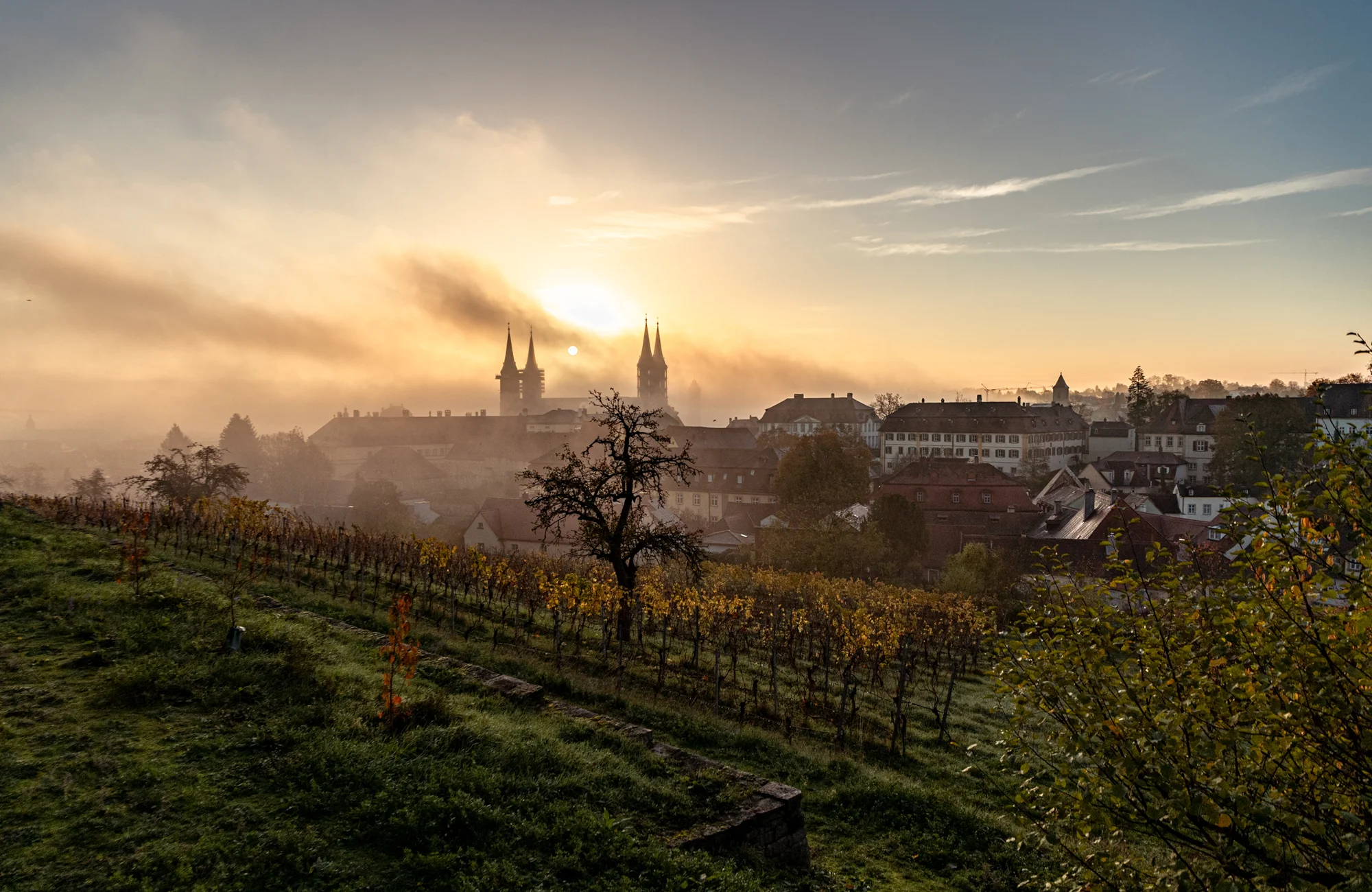 Die Sonne geht über dem Bamberger Dom auf mit dem Weinberg am Michaelsberg im Vordergrund.